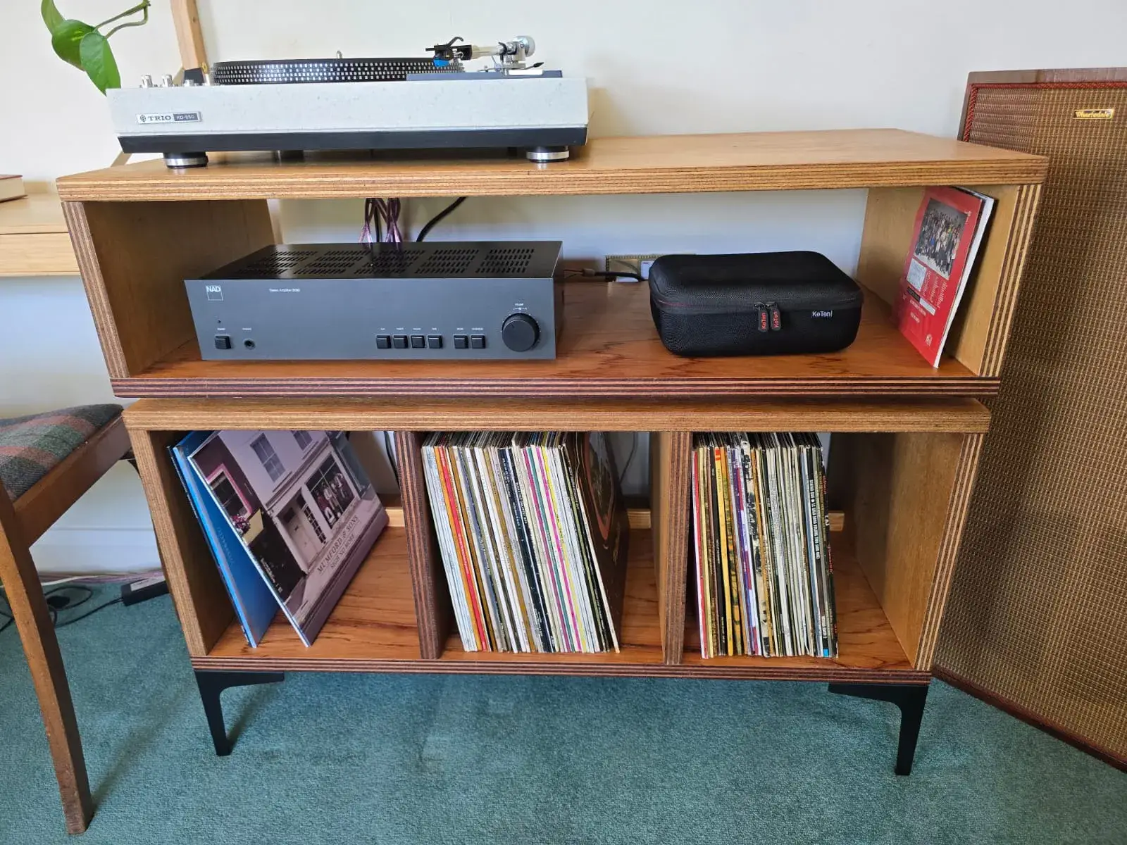 Vinyl record storage unit
